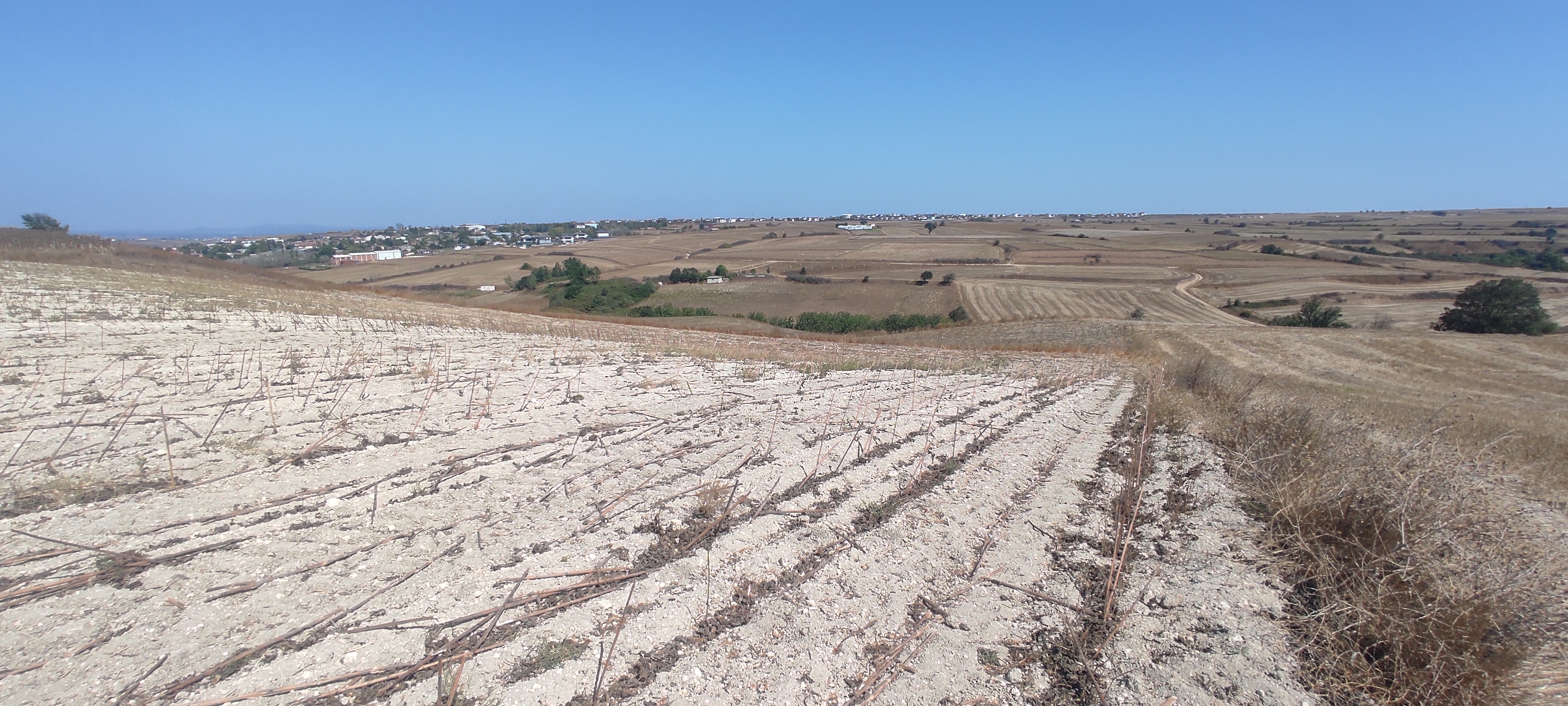 Tekirdağ Kapaklı Bahçeağıl Tarla